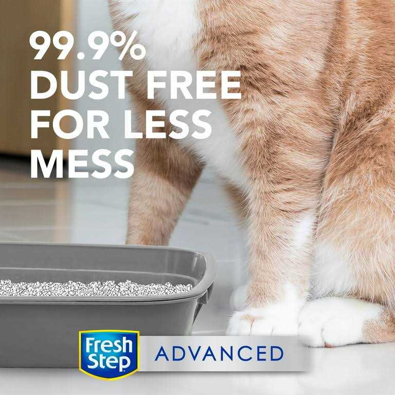 Unscented Clumping Cat Litter A786
