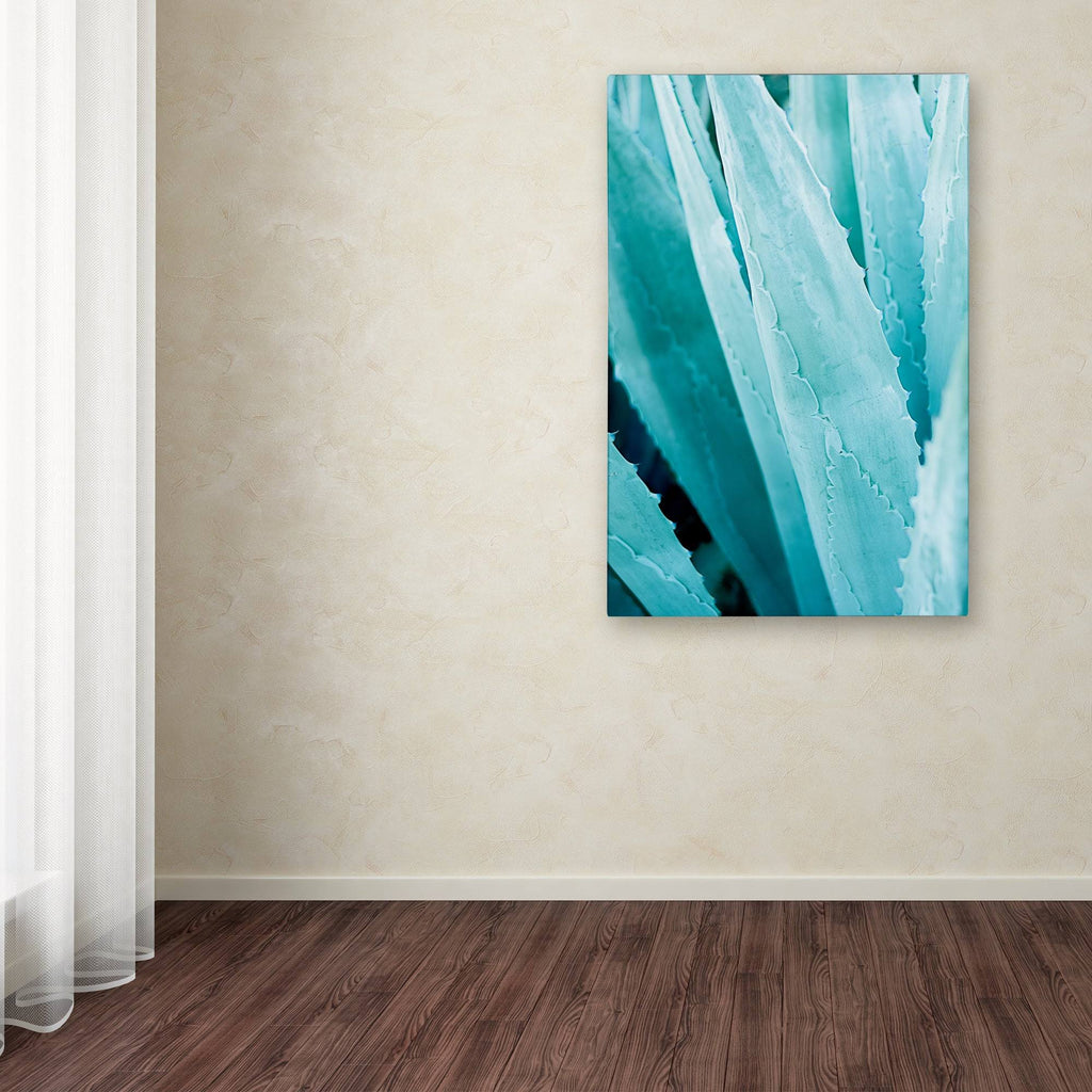 Abstract Agava IV Color Canvas Art M817