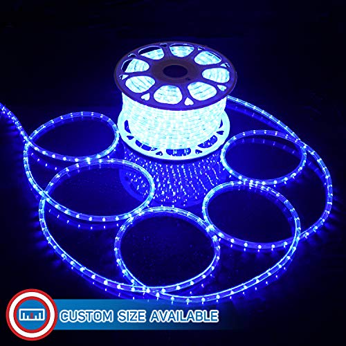 Blue LED Rope Lights 50 I767332