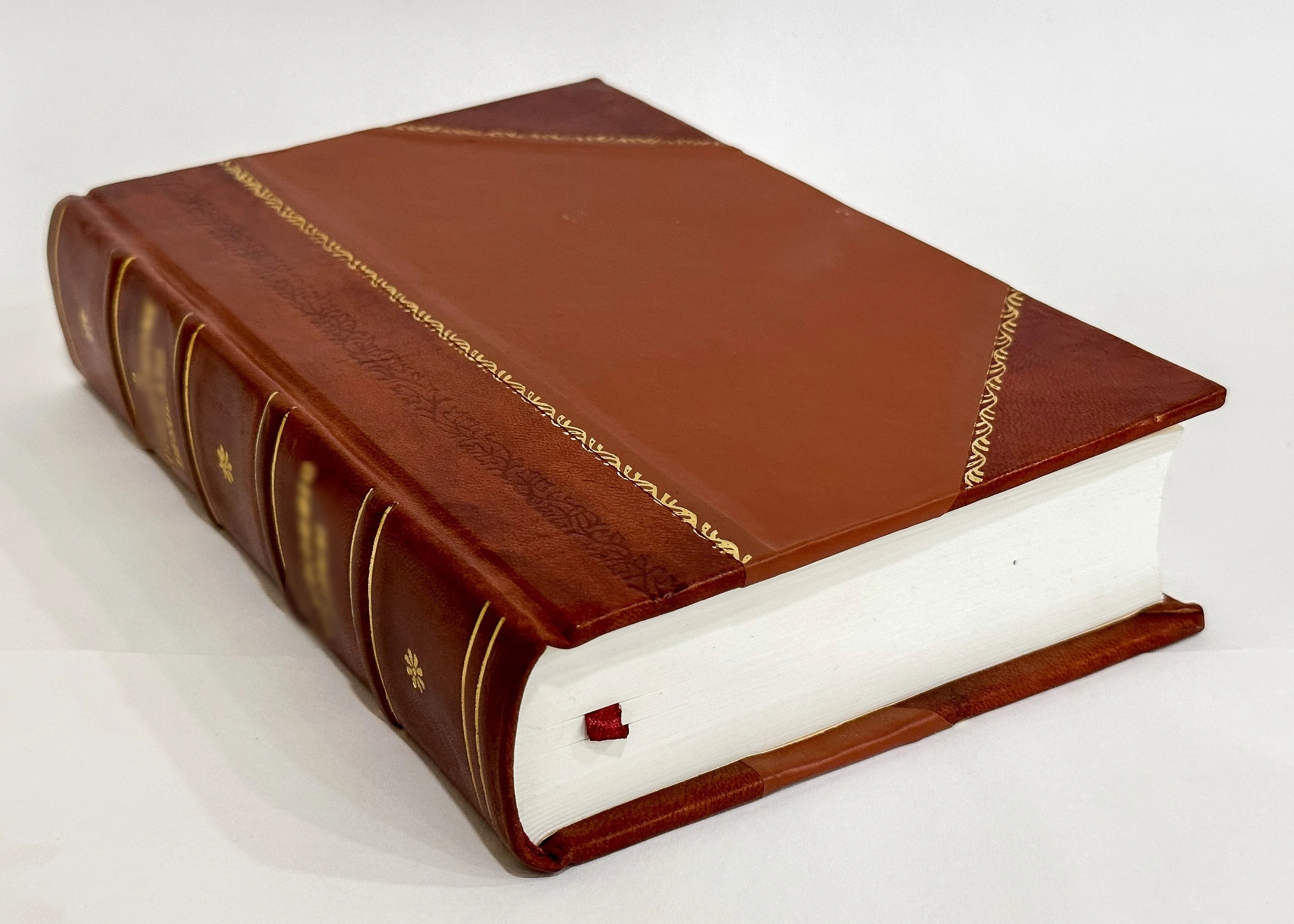 Leather Bound Book X846727