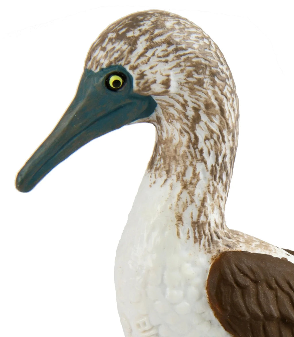 Blue Footed Booby Figurine Multi Color U670