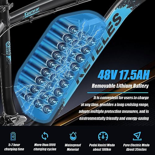 26" Fat Tire Electric Mountain Bike with 48V Removable Battery E8242
