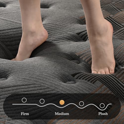 10 Inch Hybrid Queen Mattress with Memory Foam & Pocket Spring U611349