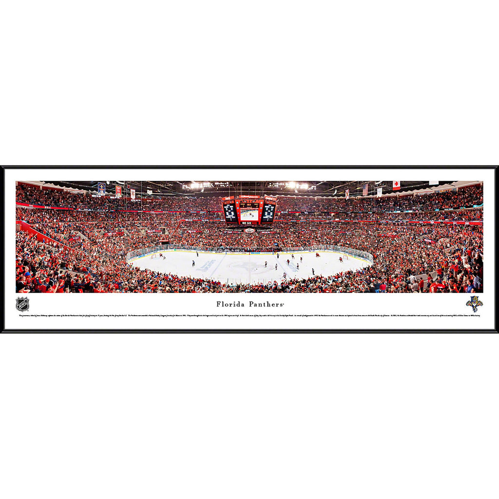 Florida Panthers Deluxe Frame O36193