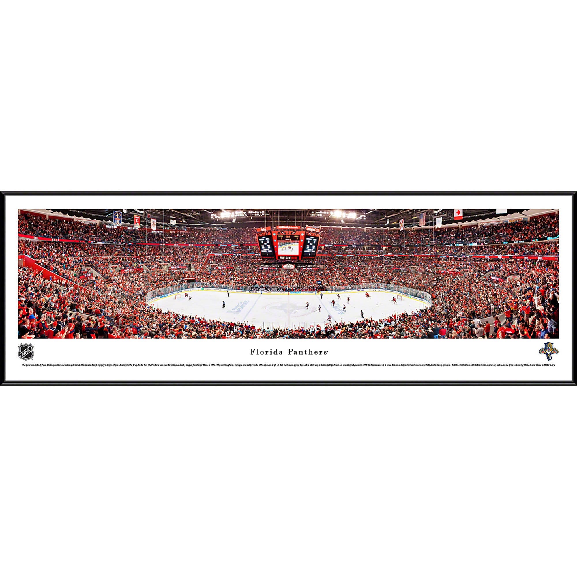Florida Panthers Deluxe Frame O36193