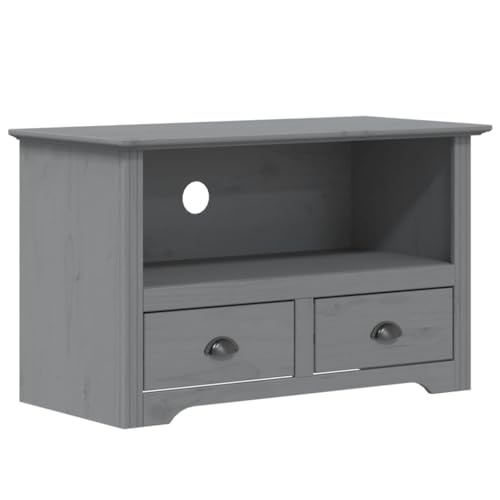 Gray Solid Wood Pine TV Stand with 2 Drawers R806