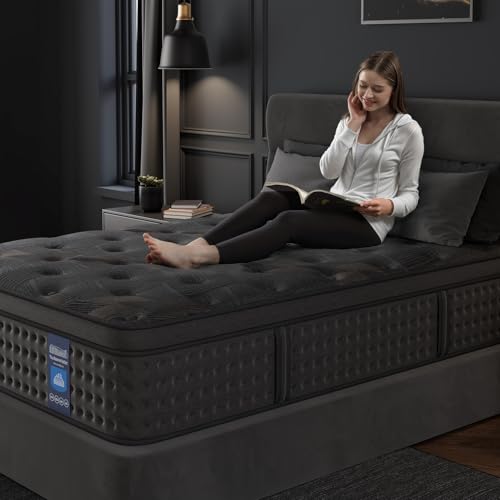 10 Inch Hybrid Queen Mattress with Memory Foam & Pocket Spring U611349