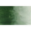 Italian Terra Verte Oil Color 473 ml U827486
