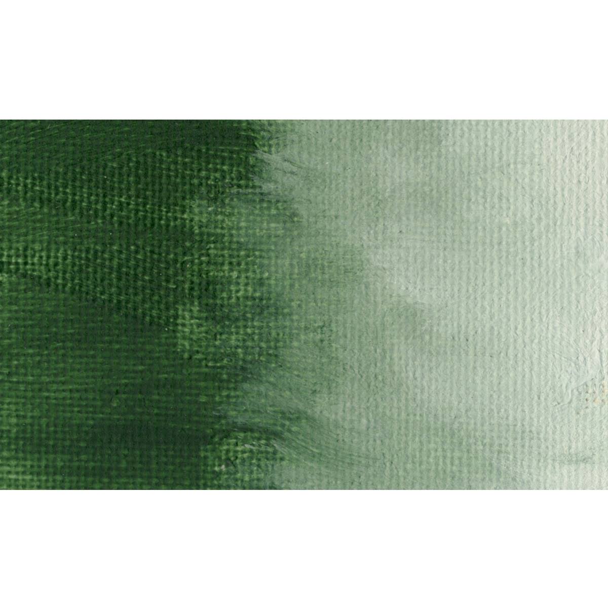 Italian Terra Verte Oil Color 473 ml U827486