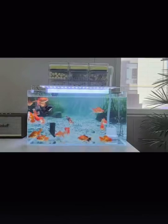 3D Aquarium Background Sticker Q18426
