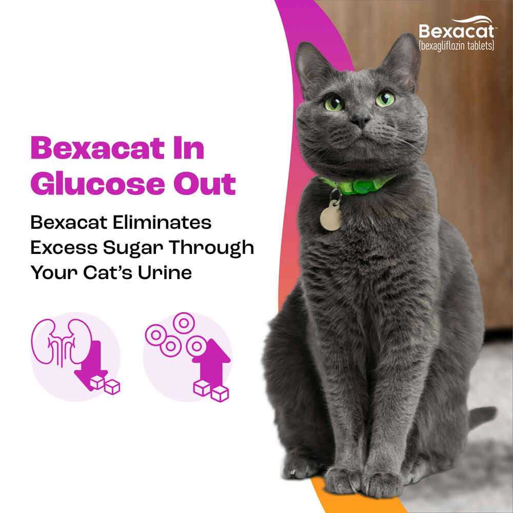 15 mg Cat T75872