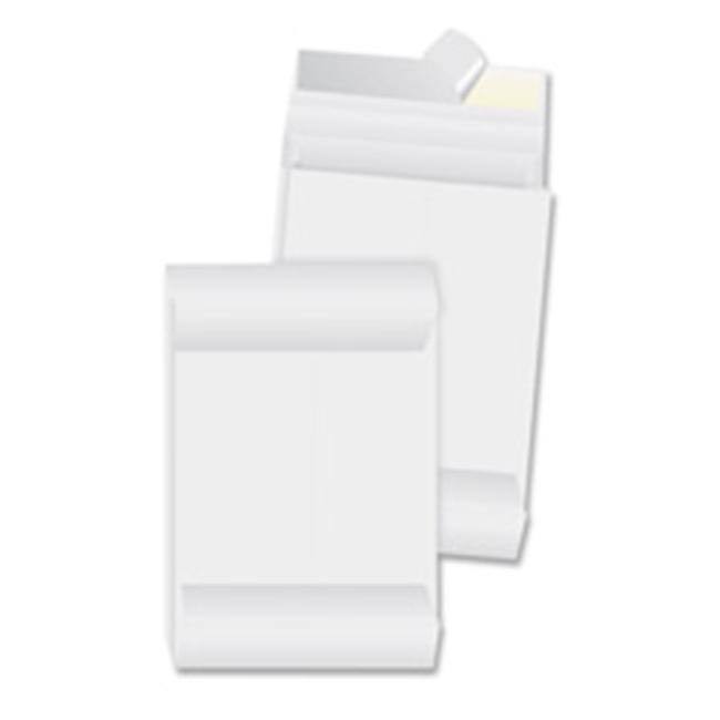 White Tyvex Expansion Envelopes, 100 count T127