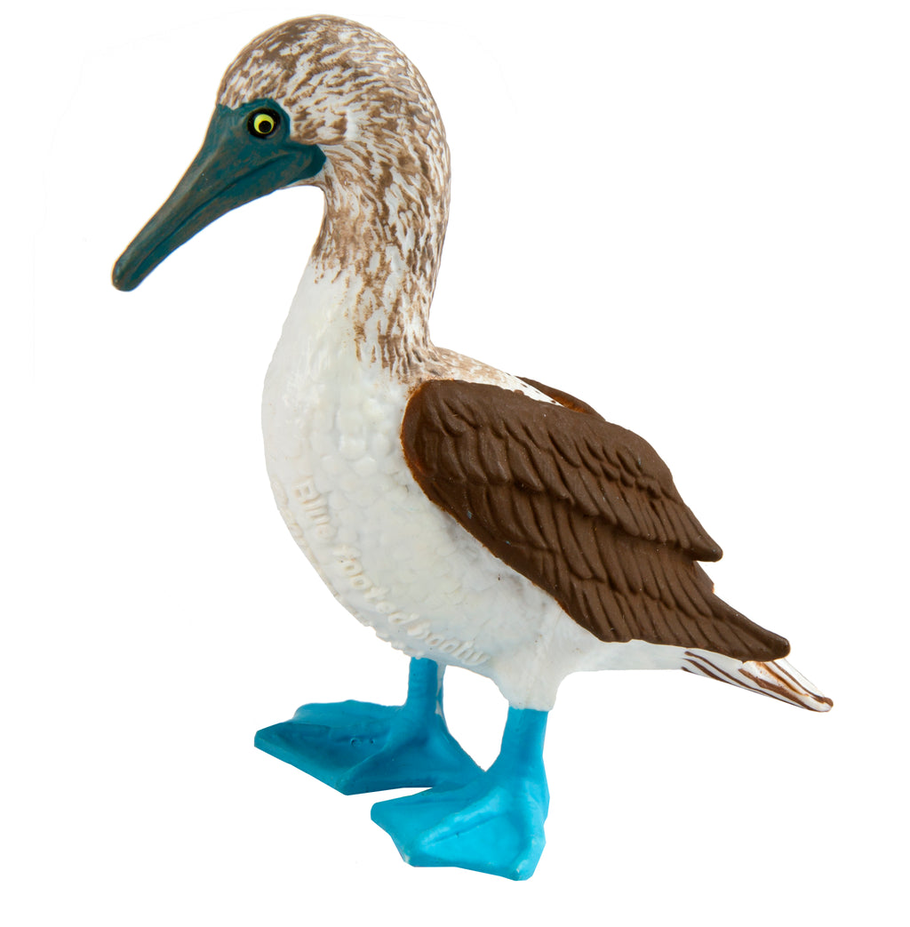 Blue Footed Booby Figurine Multi Color U670