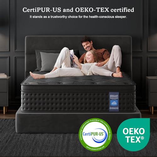 10 Inch Hybrid Queen Mattress with Memory Foam & Pocket Spring U611349