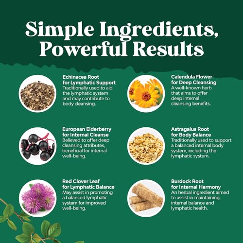 Organic Lymphatic Drainage Drops with Echinacea Goldenseal & Red Clover Extract - 30 Servings K955131