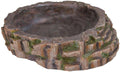Reptile Pool, 35 x 9 x 34 cm X7414