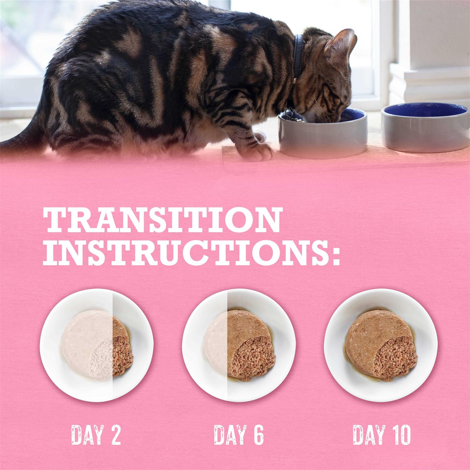 Grain Free Wet Cat Food Pate R76650