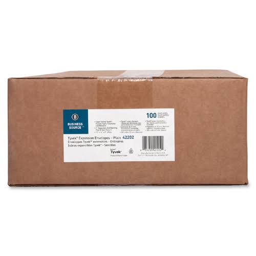 White Tyvex Expansion Envelopes, 100 count T127