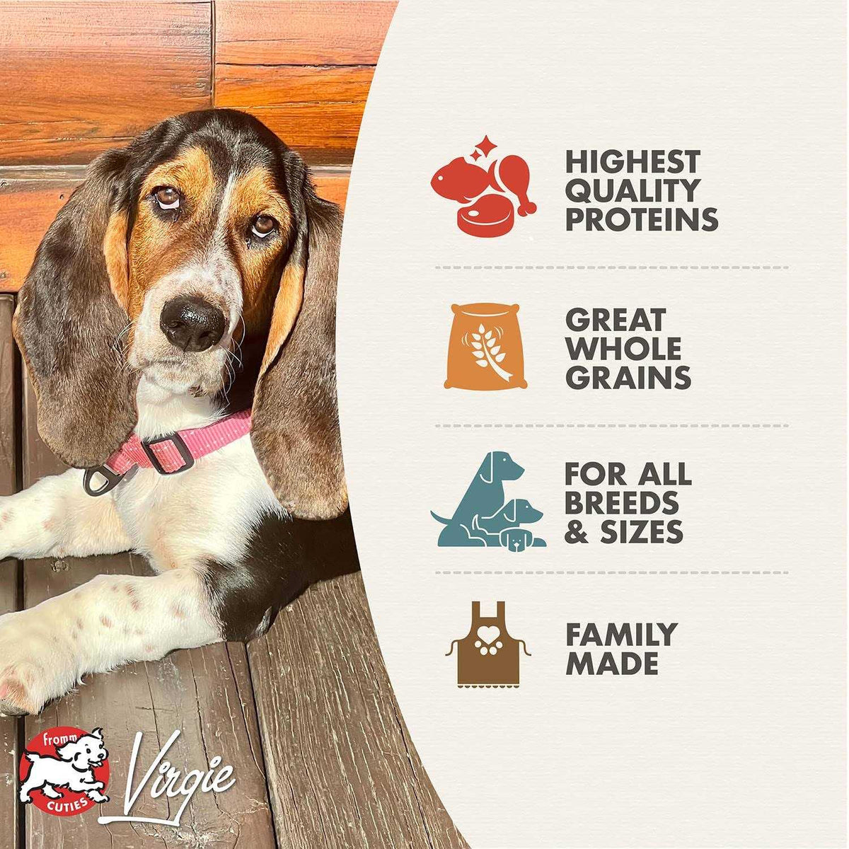 Fromm Adult Gold Dry Dog Food D6171