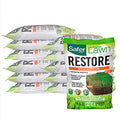 Lawn Restore Fertilizer, 1 Year Supply (To 15,000 Sq ft) B53397