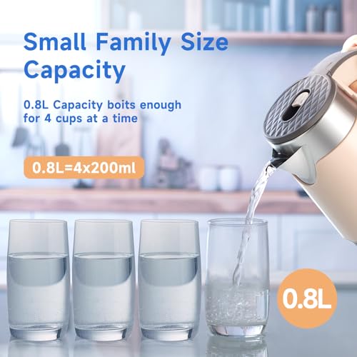 0.8L Stainless Steel Electric Tea Kettle P72590