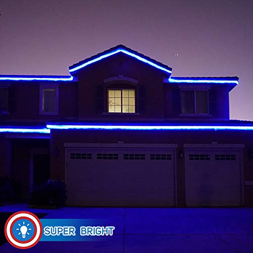 Blue LED Rope Lights 50 I767332