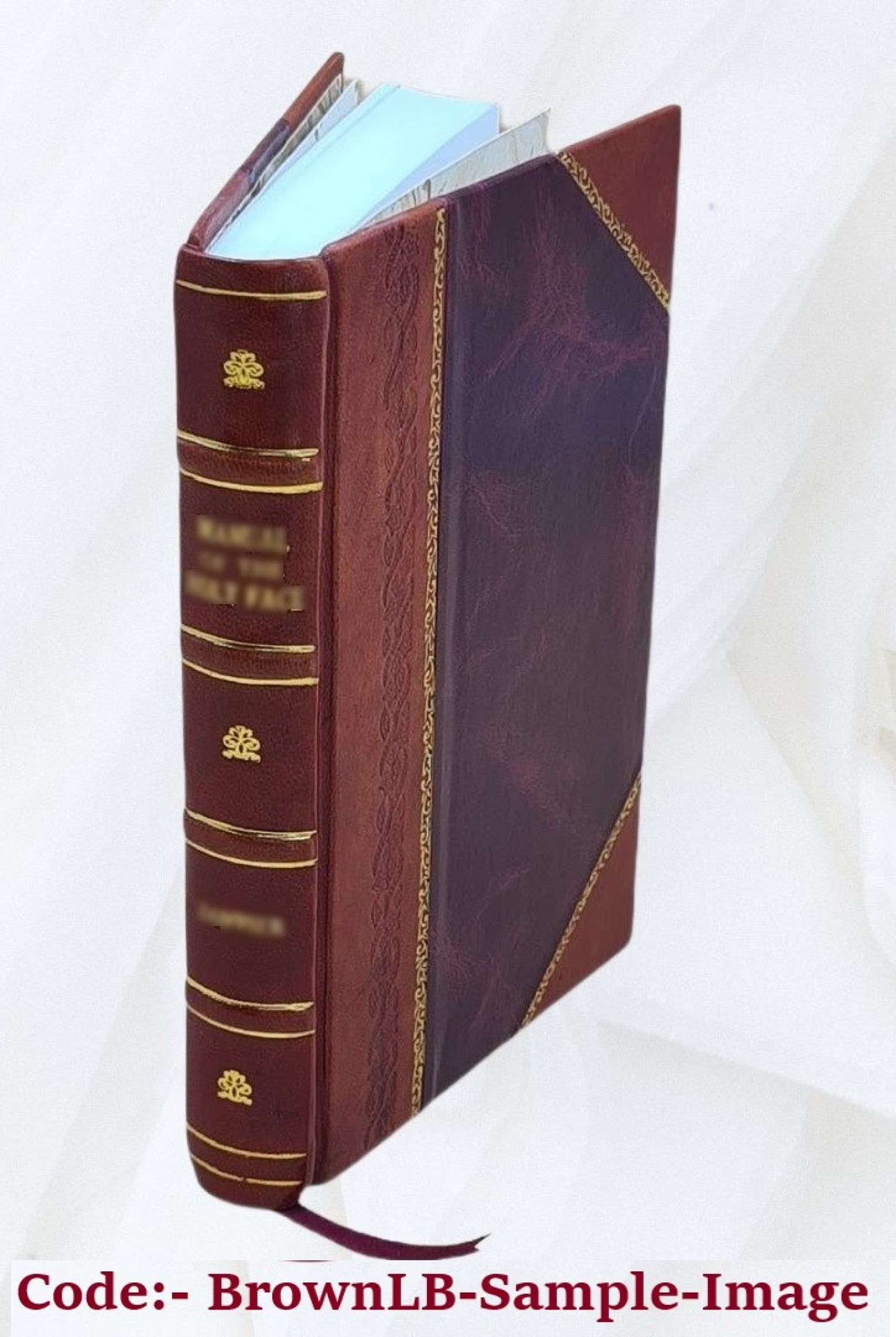 Leather Bound Y84494