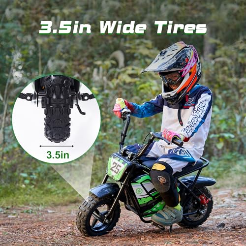 250W 24V 9Ah Electric Bike H994182