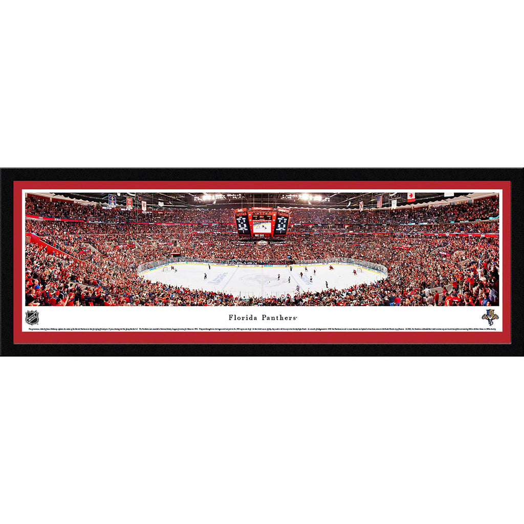 Florida Panthers Deluxe Frame O36193