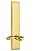 Tall Plate Privacy Lever in Lifetime Brass C659