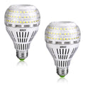 250-Watt Equivalent A21 Non-Dimmable LED Light Bulb Daylight 5000K (2-Pack) S229874