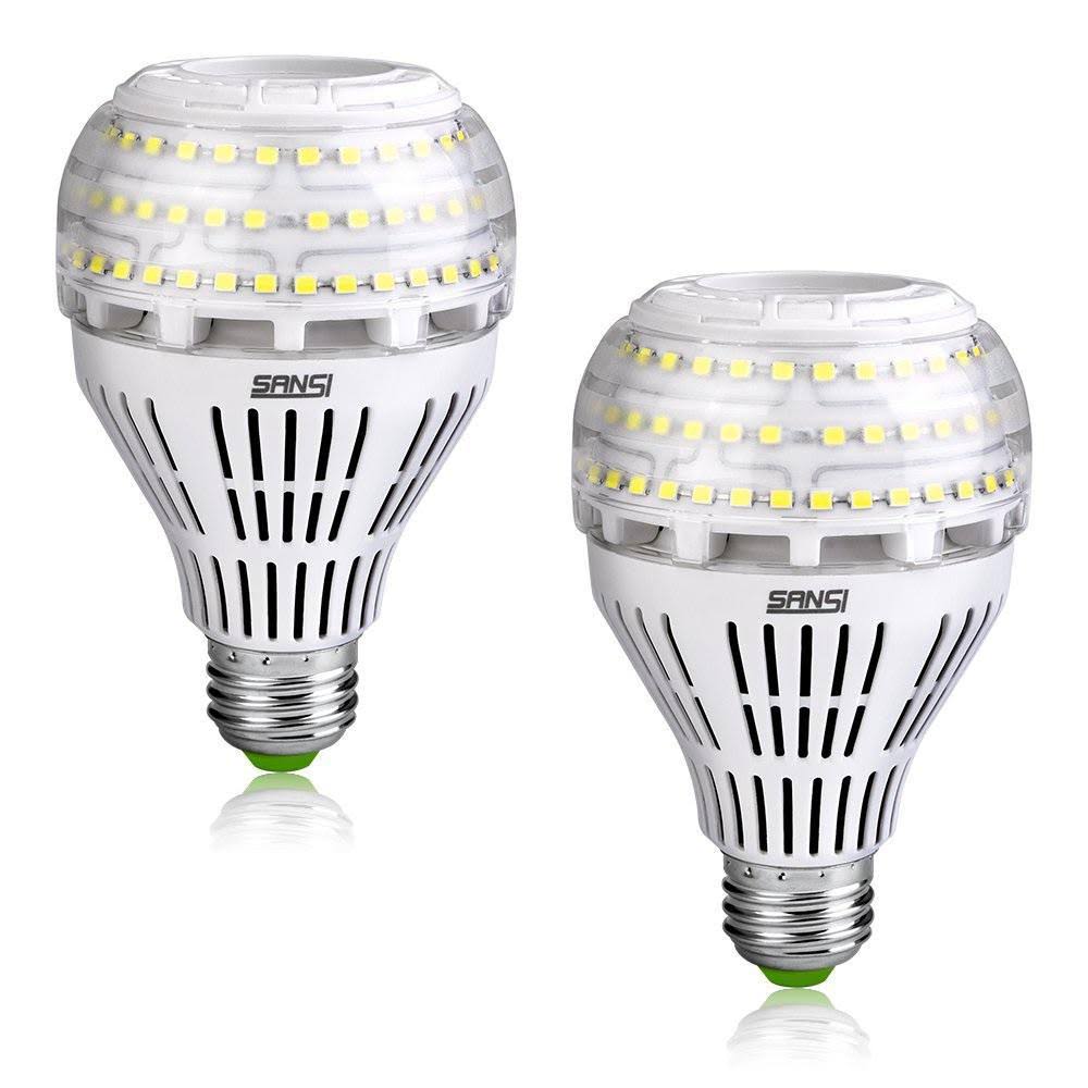 250-Watt Equivalent A21 Non-Dimmable LED Light Bulb Daylight 5000K (2-Pack) S229874