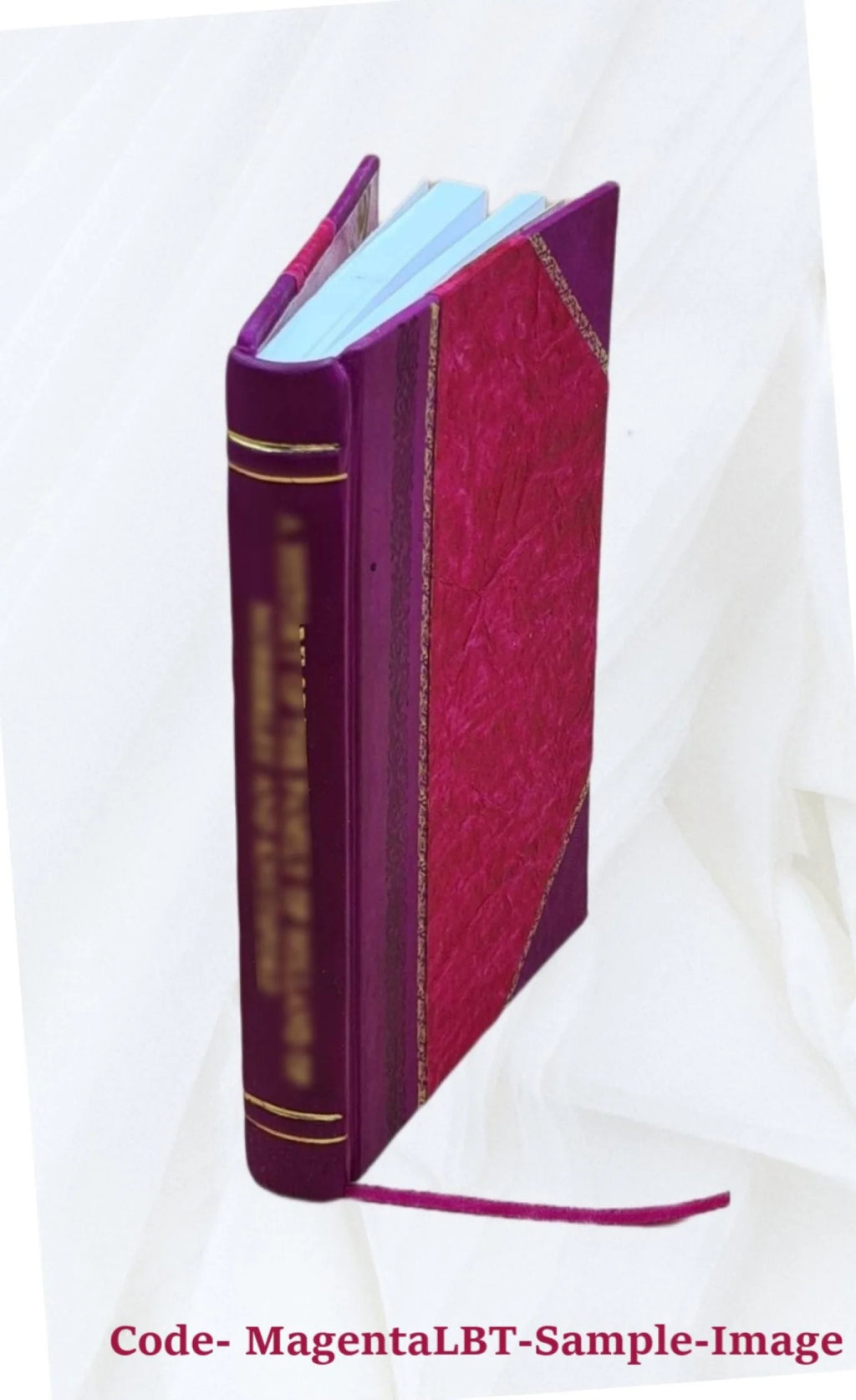 Antiquities of the St. Francis, White, and Black rivers, Arkansas: part 1. St. Francis River; part 2. White and Black rivers 1910 [Leather Bound] F255