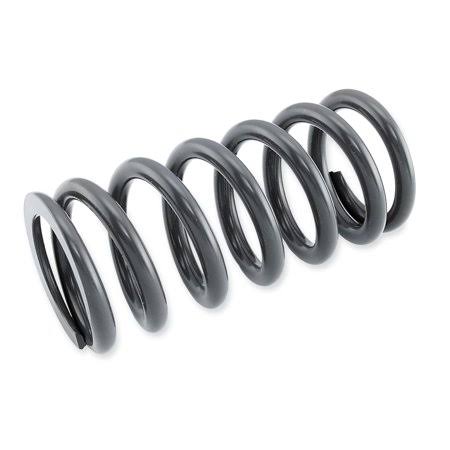 Shock Spring 4.8 kg/mm E6450