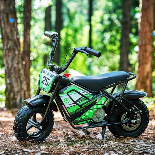 250W 24V 9Ah Electric Bike H994182