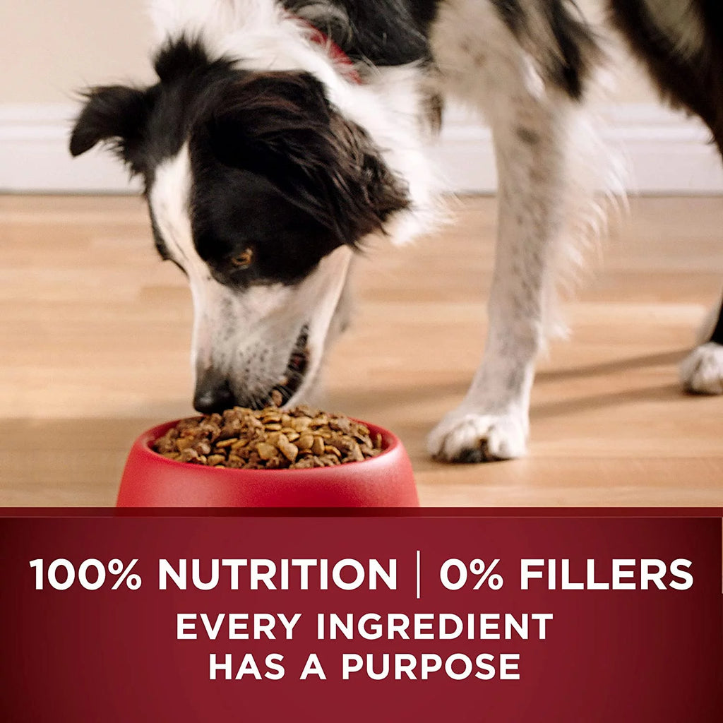 27.5 lb. Dry Dog Food with Real Turkey & Venison M54290
