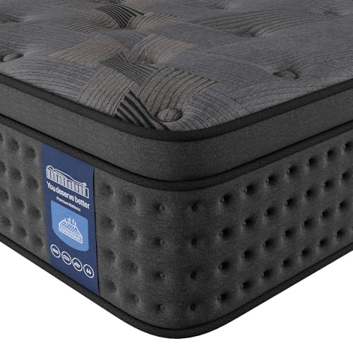 10 Inch Hybrid Queen Mattress with Memory Foam & Pocket Spring U611349