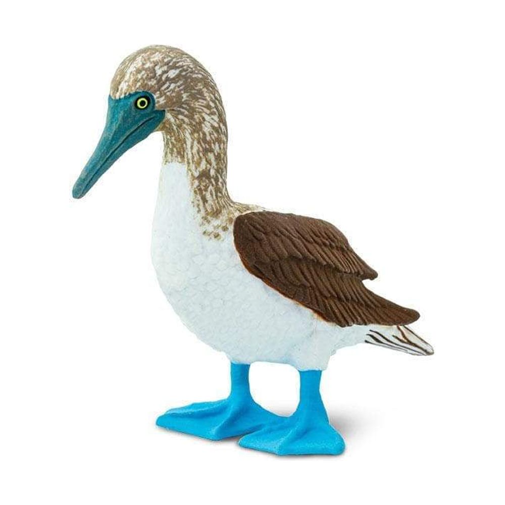 Blue Footed Booby Figurine Multi Color U670