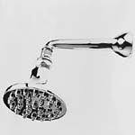 Stainless Steel Single Function Shower Head F41483