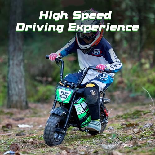 250W 24V 9Ah Electric Bike H994182