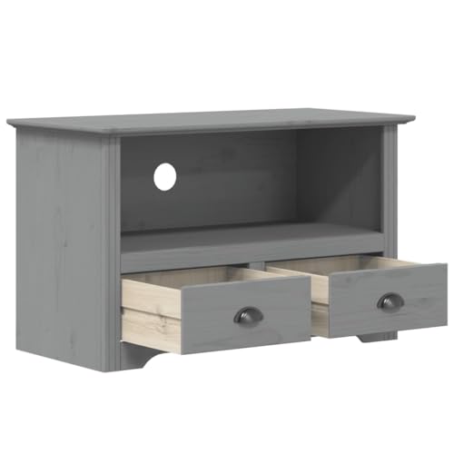 Gray Solid Wood Pine TV Stand with 2 Drawers R806