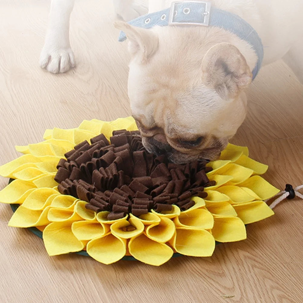 Wear-resistant Dog Slow Feeder Pad Pet Bowl R701