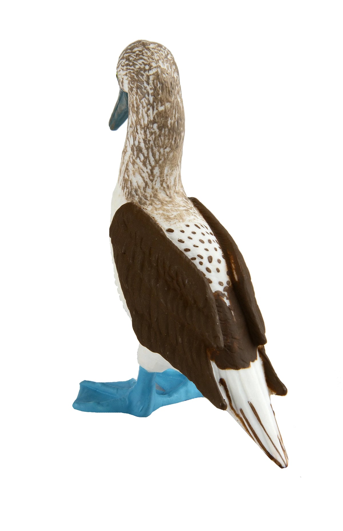 Blue Footed Booby Figurine Multi Color U670