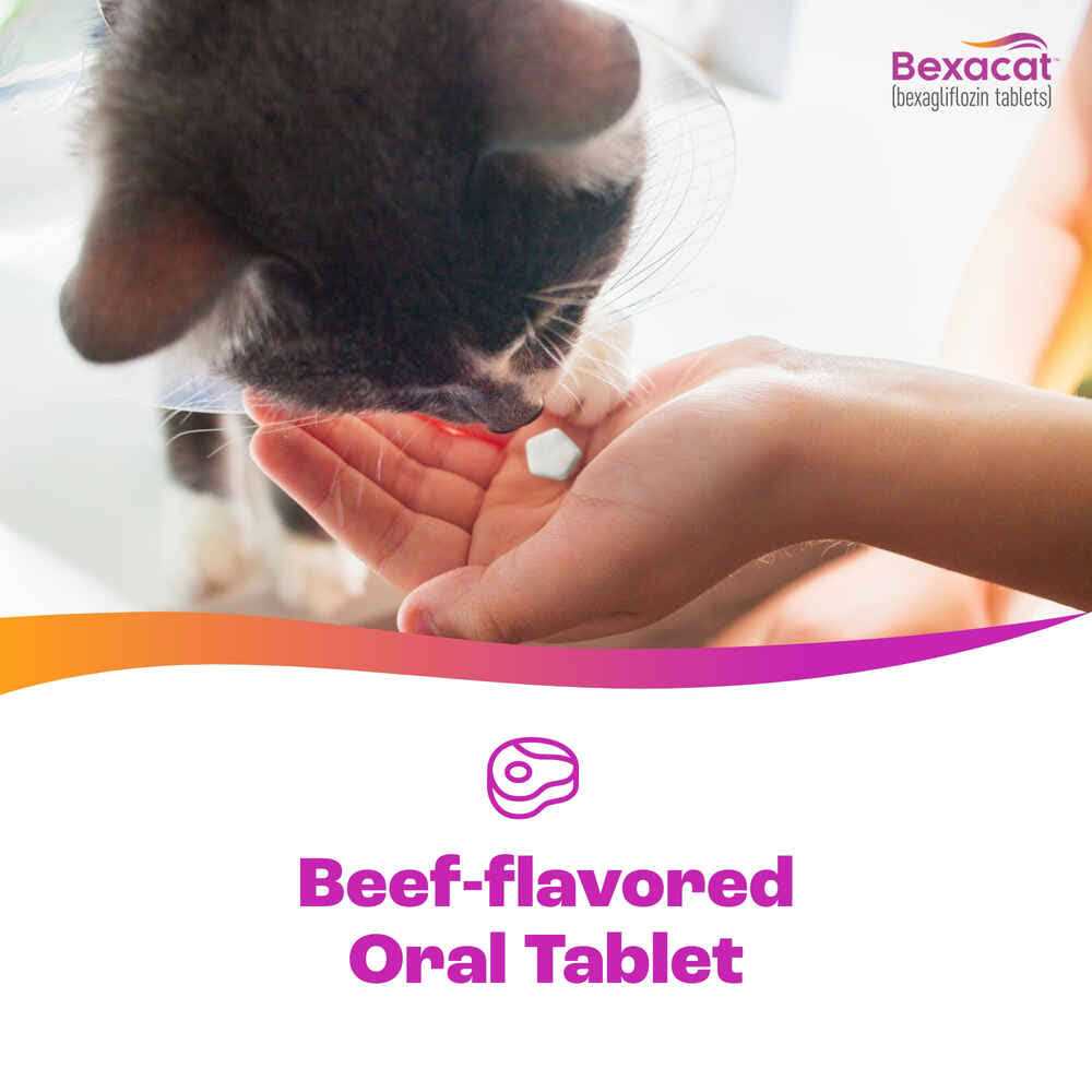 15 mg Cat T75872