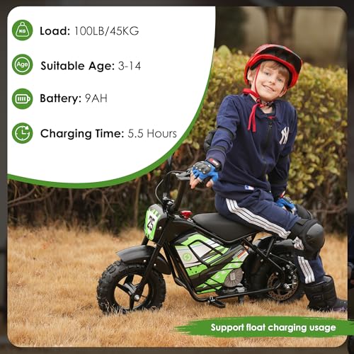 250W 24V 9Ah Electric Bike H994182