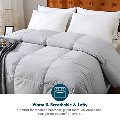 100% Organic Cotton Quilted Medium Warm King Comforter (106x90, Ivory White) U612305