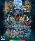 Horror 4K Ultra HD T33285
