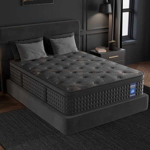 10 Inch Hybrid Queen Mattress with Memory Foam & Pocket Spring U611349
