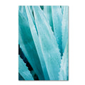 Abstract Agava IV Color Canvas Art M817
