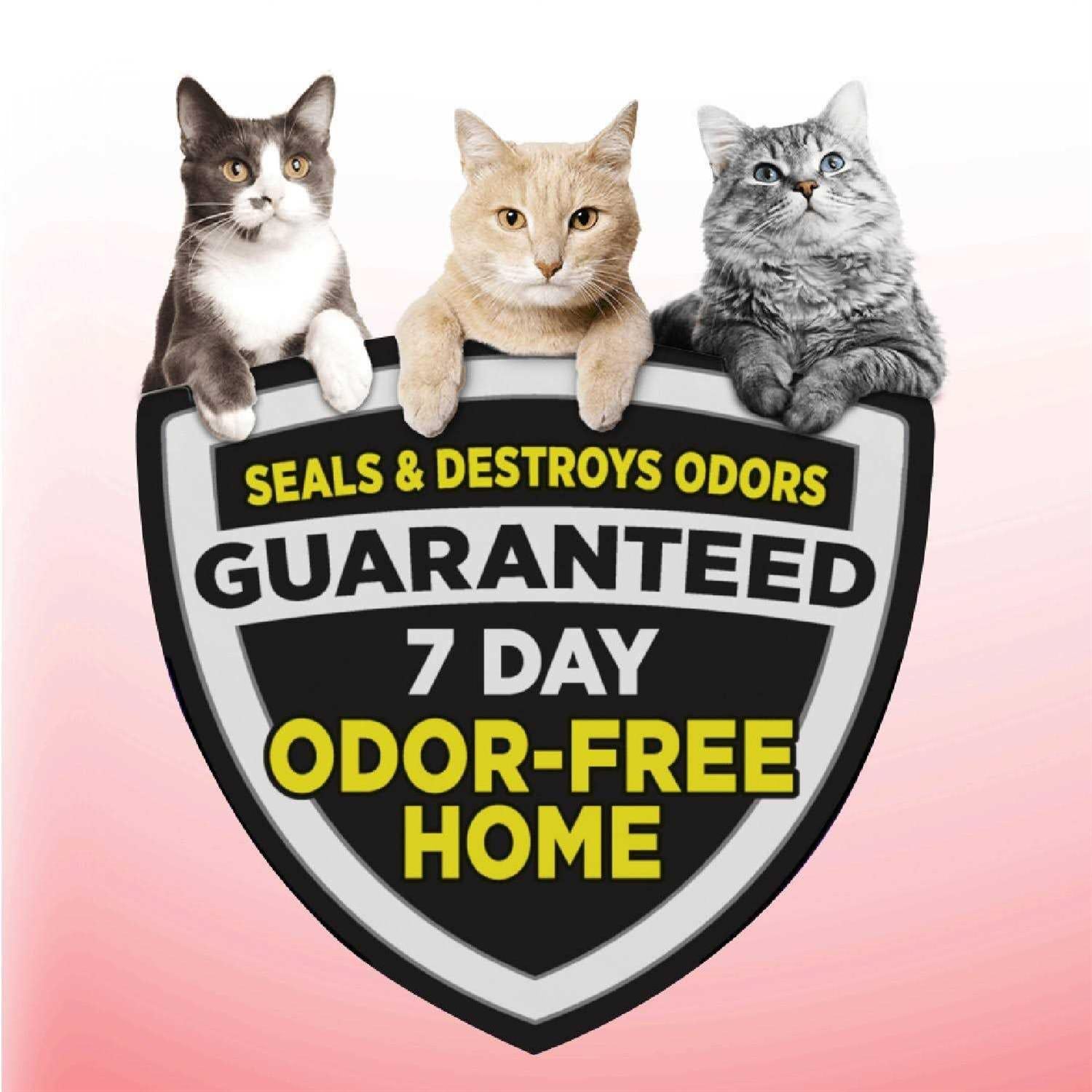 Arm Hammer Clump Seal Cat Litter V517014